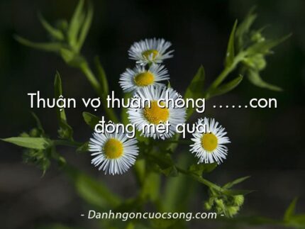 Thuận vợ thuận chồng ……con đông mệt quá.