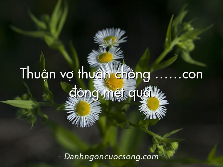 Thuận vợ thuận chồng ……con đông mệt quá.