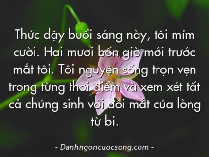 Thức dậy buổi sáng này, tôi mỉm cười. Hai mươi bốn giờ mới trước mắt tôi. Tôi nguyện sống trọn vẹn trong từng thời điểm và xem xét tất cả chúng sinh với đôi mắt của lòng từ bi.
