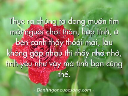 Thực ra chúng ta đang muốn tìm một người chơi thân, hợp tính, ở bên cạnh thấy thoải mái, lâu không gặp nhau thì thấy nhớ nhớ, tình yêu như vậy mà tình bạn cũng thế.