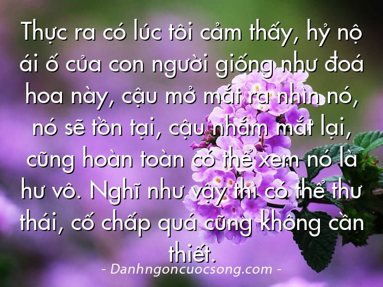 Thực ra có lúc tôi cảm thấy, hỷ nộ ái ố của con người giống như đoá hoa này, cậu mở mắt ra nhìn nó, nó sẽ tồn tại, cậu nhắm mắt lại, cũng hoàn toàn có thể xem nó là hư vô. Nghĩ như vậy thì có thể thư thái, cố chấp quá cũng không cần thiết.