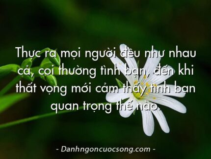Thực ra mọi người đều như nhau cả, coi thường tình bạn, đến khi thất vọng mới cảm thấy tình bạn quan trọng thế nào.