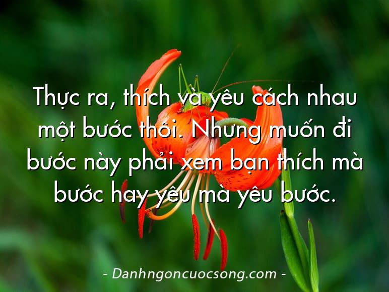 Thực ra, thích và yêu cách nhau một bước thôi. Nhưng muốn đi bước này phải xem bạn thích mà bước hay yêu mà yêu bước.