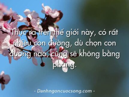 Thực ra trên thế giới này, có rất nhiều con đường, dù chọn con đường nào, cũng sẽ không bằng phẳng.