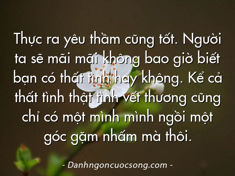 Thực ra yêu thầm cũng tốt. Người ta sẽ mãi mãi không bao giờ biết bạn có thất tình hay không. Kể cả thất tình thật tình vết thương cũng chỉ có một mình mình ngồi một góc gặm nhấm mà thôi.