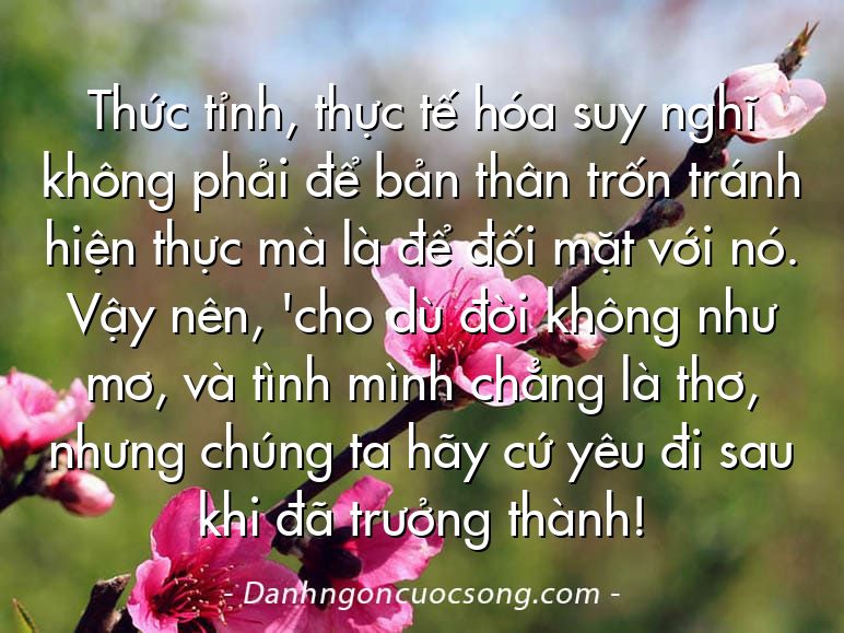 Thức tỉnh, thực tế hóa suy nghĩ không phải để bản thân trốn tránh hiện thực mà là để đối mặt với nó. Vậy nên, 'cho dù đời không như mơ, và tình mình chẳng là thơ, nhưng chúng ta hãy cứ yêu đi sau khi đã trưởng thành!