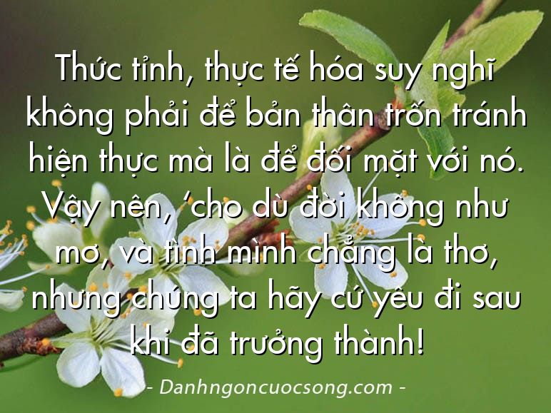 Thức tỉnh, thực tế hóa suy nghĩ không phải để bản thân trốn tránh hiện thực mà là để đối mặt với nó. Vậy nên, ‘cho dù đời không như mơ, và tình mình chẳng là thơ, nhưng chúng ta hãy cứ yêu đi sau khi đã trưởng thành!