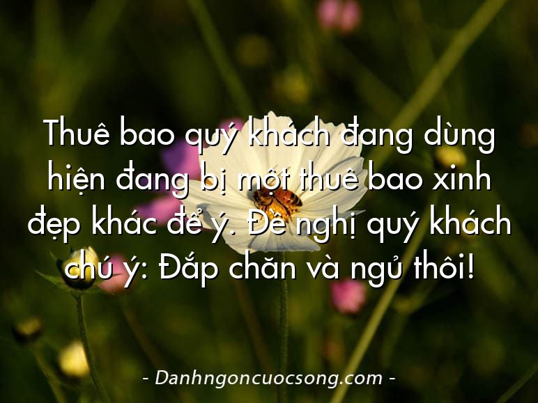 Thuê bao quý khách đang dùng hiện đang bị một thuê bao xinh đẹp khác để ý. Đề nghị quý khách chú ý: Đắp chăn và ngủ thôi!