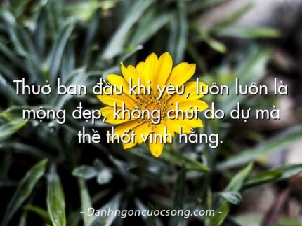 Thuở ban đầu khi yêu, luôn luôn là mộng đẹp, không chút do dự mà thề thốt vĩnh hằng.