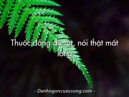 Thuốc đắng dã tật, nói thật mất lòng