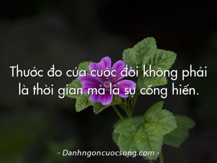 Thước đo của cuộc đời không phải là thời gian mà là sự cống hiến.