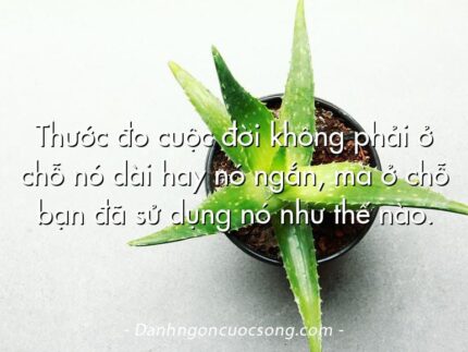 Thước đo cuộc đời không phải ở chỗ nó dài hay nó ngắn, mà ở chỗ bạn đã sử dụng nó như thế nào.  