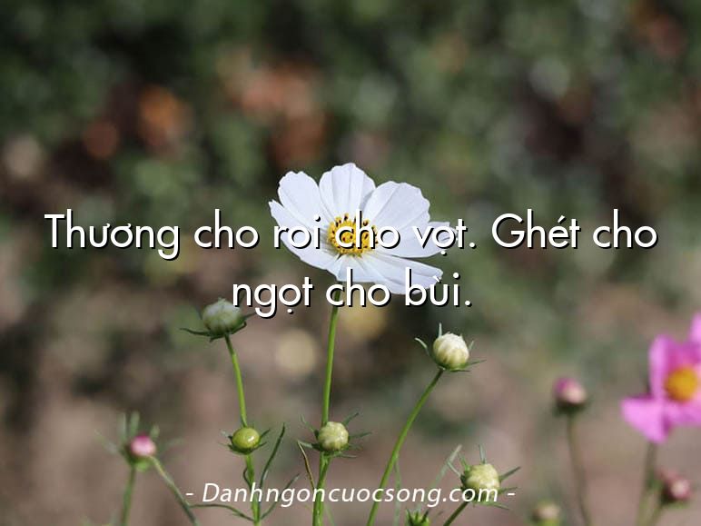 Thương cho roi cho vọt. Ghét cho ngọt cho bùi.