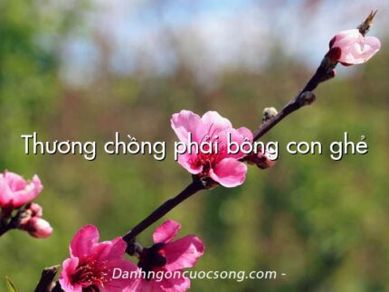 Thương chồng phải bồng con ghẻ