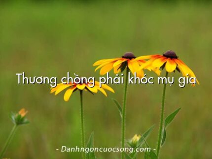 Thương chồng phải khóc mụ gia