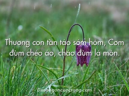 Thương con tần tảo sớm hôm, Cơm đùm chéo áo, cháo đùm lá môn.