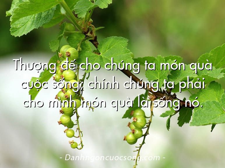 Thượng đế cho chúng ta món quà cuộc sống; chính chúng ta phải cho mình món quà là sống nó.