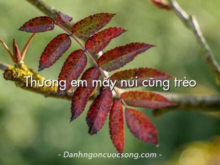 Thương em mấy núi cũng trèo