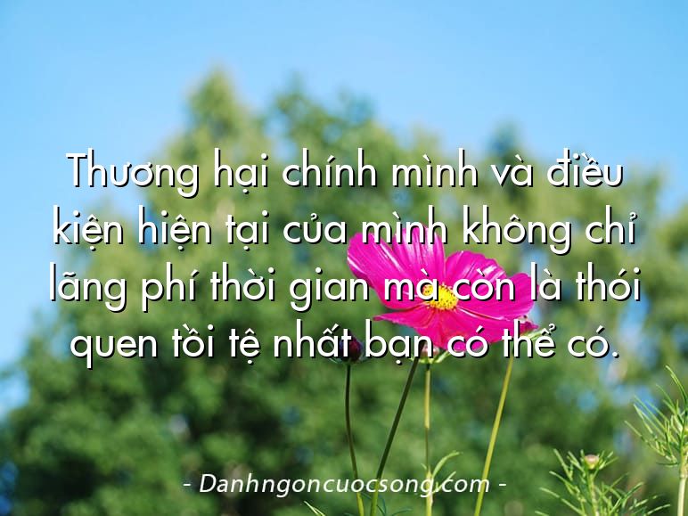 Thương hại chính mình và điều kiện hiện tại của mình không chỉ lãng phí thời gian mà còn là thói quen tồi tệ nhất bạn có thể có.