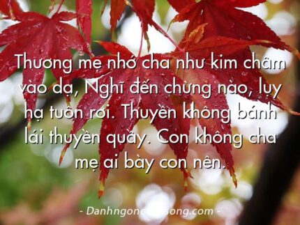 Thương mẹ nhớ cha như kim châm vào dạ, Nghĩ đến chừng nào, lụy hạ tuôn rơi. Thuyền không bánh lái thuyền quầy. Con không cha mẹ ai bày con nên.