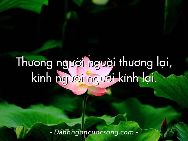 Thương người người thương lại, kính người người kính lại.
