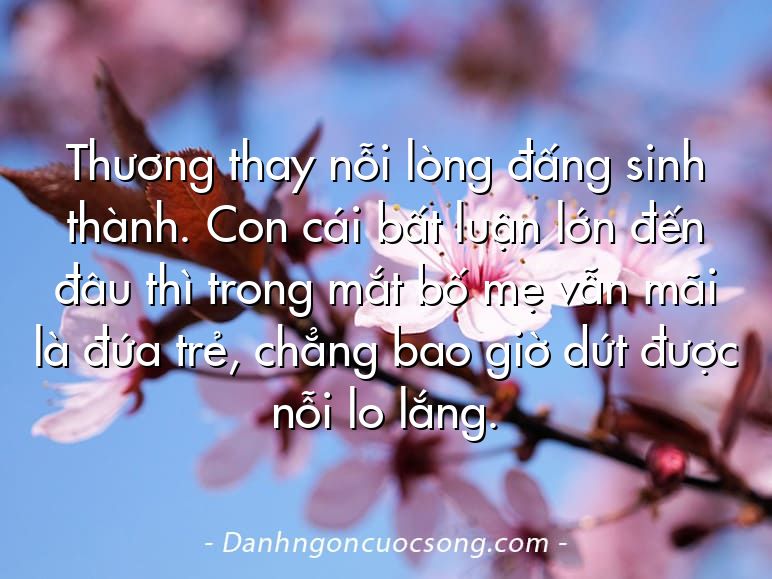 Thương thay nỗi lòng đấng sinh thành. Con cái bất luận lớn đến đâu thì trong mắt bố mẹ vẫn mãi là đứa trẻ, chẳng bao giờ dứt được nỗi lo lắng.