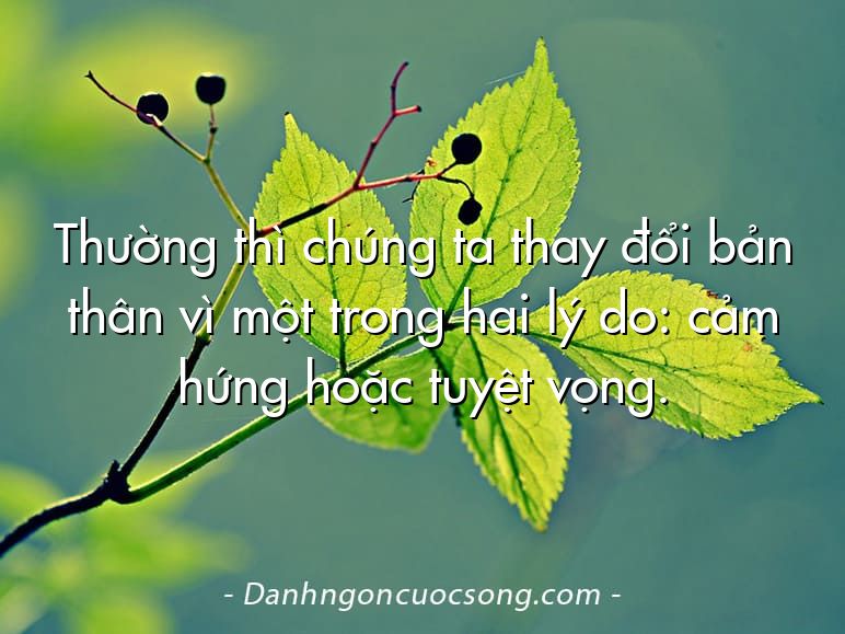 Thường thì chúng ta thay đổi bản thân vì một trong hai lý do: cảm hứng hoặc tuyệt vọng.