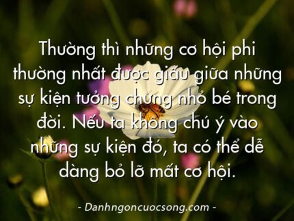 Thường thì những cơ hội phi thường nhất được giấu giữa những sự kiện tưởng chừng nhỏ bé trong đời. Nếu ta không chú ý vào những sự kiện đó, ta có thể dễ dàng bỏ lỡ mất cơ hội.