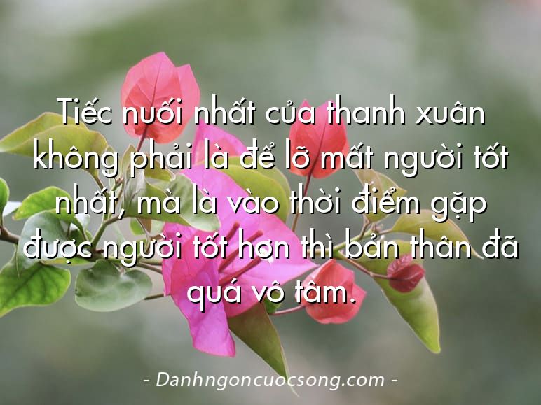 Tiếc nuối nhất của thanh xuân không phải là để lỡ mất người tốt nhất, mà là vào thời điểm gặp được người tốt hơn thì bản thân đã quá vô tâm.