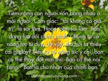 Tiềm năng con người vốn bằng nhau ở mỗi người. Cảm giác: “tôi không có giá trị” là sai lầm. Hoàn toàn sai lầm. Bạn đang lừa dối chính mình. Chúng ta có năng lực tư duy, do vậy, thử hỏi ta thiếu cái gì đây? Nếu ta có năng lực ý chí, bạn có thể thay đổi mọi thứ. Bạn có thể nói rằng: “Bạn là chủ nhân của chính bạn.”