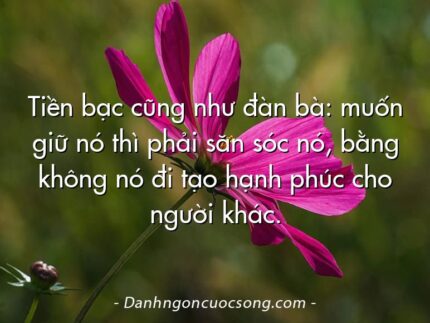 Tiền bạc cũng như đàn bà: muốn giữ nó thì phải săn sóc nó, bằng không nó đi tạo hạnh phúc cho người khác.