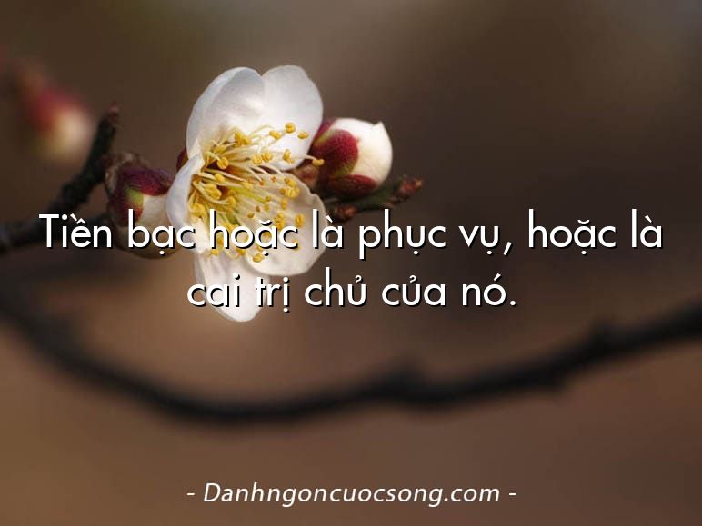 Tiền bạc hoặc là phục vụ, hoặc là cai trị chủ của nó.