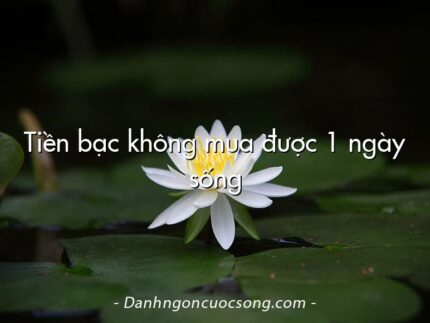 Tiền bạc không mua được 1 ngày sống