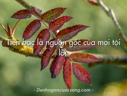 Tiền bạc là nguồn gốc của mọi tội lỗi.