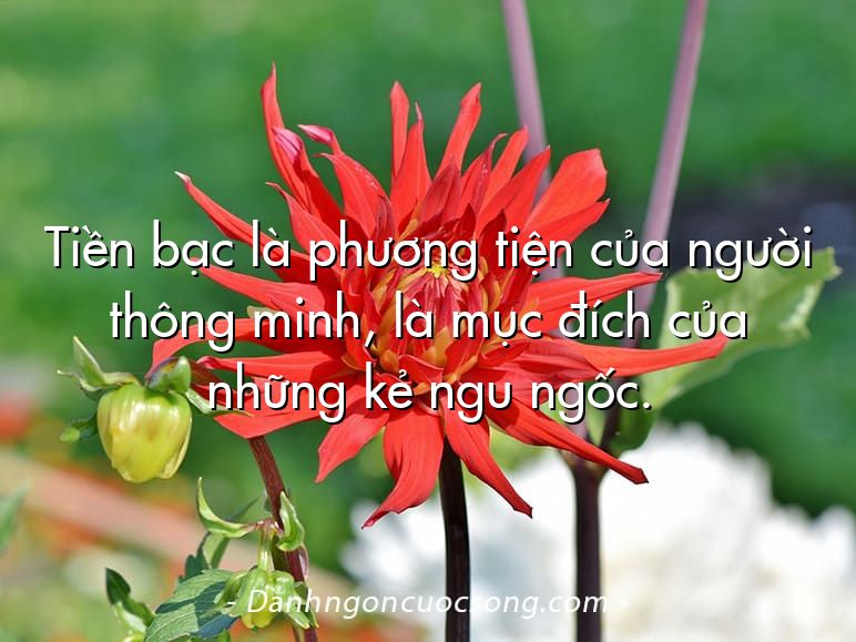 Tiền bạc là phương tiện của người thông minh, là mục đích của những kẻ ngu ngốc.