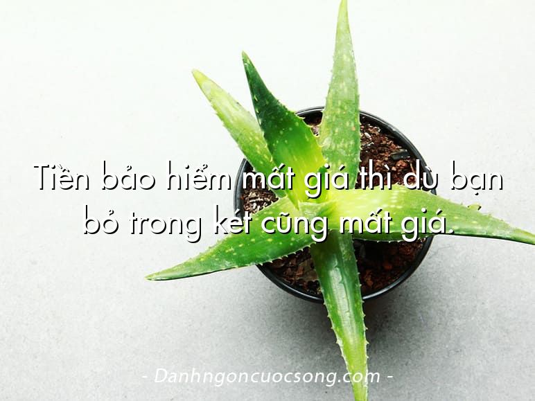 Tiền bảo hiểm mất giá thì dù bạn bỏ trong két cũng mất giá.