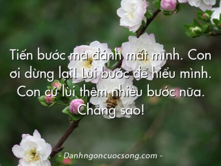 Tiến bước mà đánh mất mình. Con ơi dừng lại! Lùi bước để hiểu mình. Con cứ lùi thêm nhiều bước nữa. Chẳng sao!