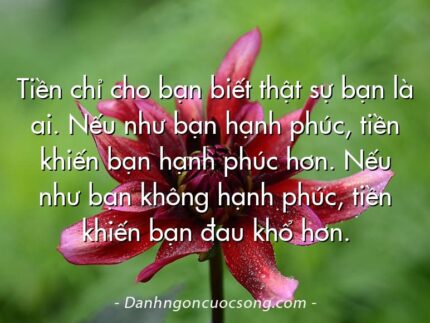 Tiền chỉ cho bạn biết thật sự bạn là ai. Nếu như bạn hạnh phúc, tiền khiến bạn hạnh phúc hơn. Nếu như bạn không hạnh phúc, tiền khiến bạn đau khổ hơn.