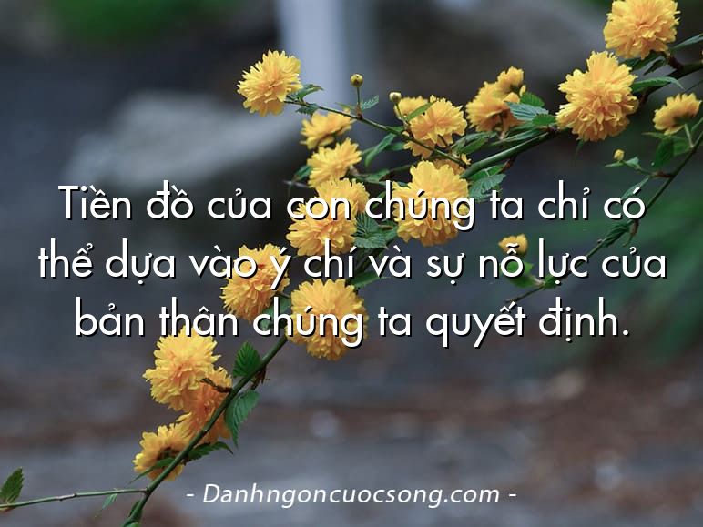 Tiền đồ của con chúng ta chỉ có thể dựa vào ý chí và sự nỗ lực của bản thân chúng ta quyết định.