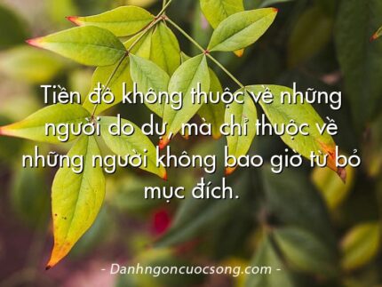 Tiền đồ không thuộc về những người do dự, mà chỉ thuộc về những người không bao giờ từ bỏ mục đích.