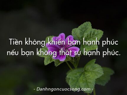 Tiền không khiến bạn hạnh phúc nếu bạn không thật sự hạnh phúc.