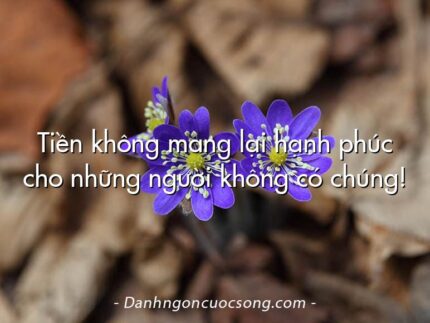 Tiền không mang lại hạnh phúc cho những người không có chúng!