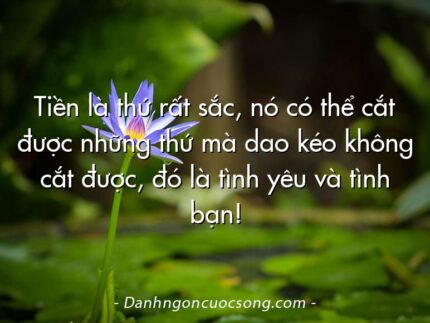 Tiền là thứ rất sắc, nó có thể cắt được những thứ mà dao kéo không cắt được, đó là tình yêu và tình bạn!