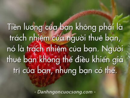 Tiền lương của bạn không phải là trách nhiệm của người thuê bạn, nó là trách nhiệm của bạn. Người thuê bạn không thể điều khiển giá trị của bạn, nhưng bạn có thể.