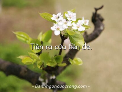 Tiền ra cửa tiền đẻ.