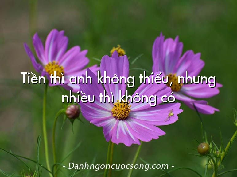 Tiền thì anh không thiếu, nhưng nhiều thì không có