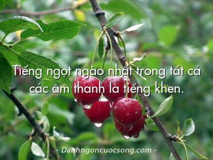 Tiếng ngọt ngào nhất trong tất cả các âm thanh là tiếng khen.