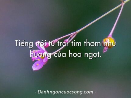 Tiếng nói từ trái tim thơm như hương của hoa ngọt.