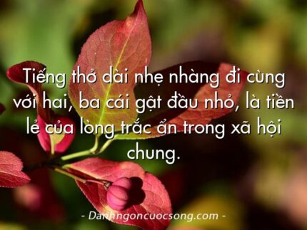 Tiếng thở dài nhẹ nhàng đi cùng với hai, ba cái gật đầu nhỏ, là tiền lẻ của lòng trắc ẩn trong xã hội chung.