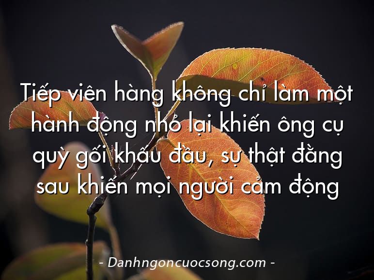 Tiếp viên hàng không chỉ làm một hành động nhỏ lại khiến ông cụ quỳ gối khấu đầu, sự thật đằng sau khiến mọi người cảm động